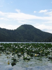 16 Lunzer See