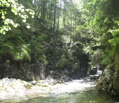 03 Salzastausee