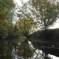 71 Wallersee