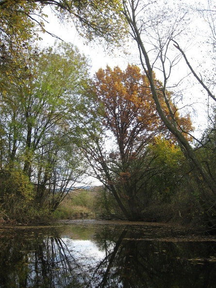 72_Wallersee.JPG