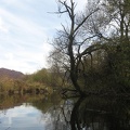 73 Wallersee