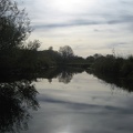 81 Wallersee